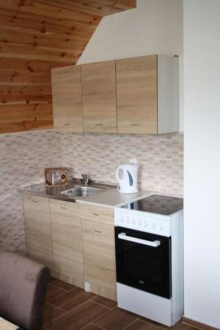 Отели типа «постель и завтрак» Apartmani Prisoje Жабляк Двухуровневый люкс-17