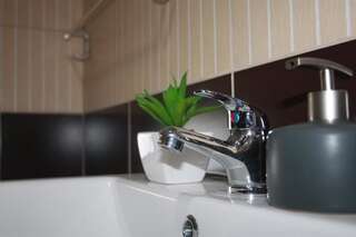 Отели типа «постель и завтрак» Apartmani Prisoje Жабляк Двухуровневый люкс-27